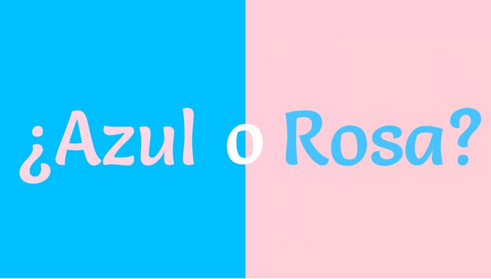 Azul o rosa -Las 2 Silvias